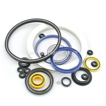Ptfe Materian Rotary Seal Spring Energized segel